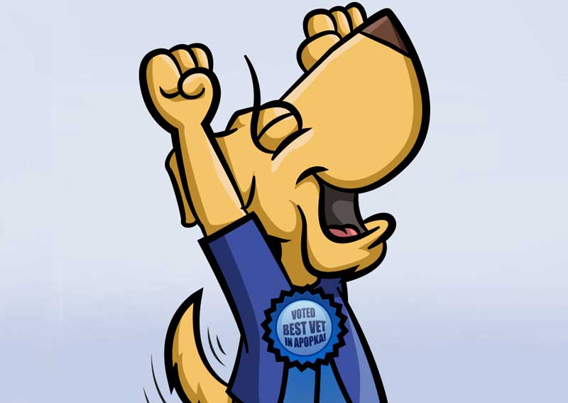 Carousel Slide 4: Welcome new clients!